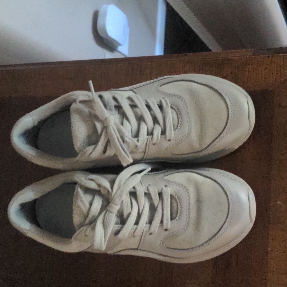 Everlane Leather Sneakers